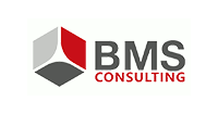 BMS Berens Mosiek Siemes Consulting GmbH